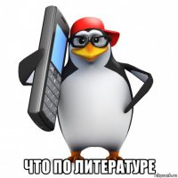  что по литературе