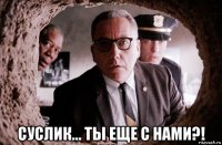  суслик... ты еще с нами?!