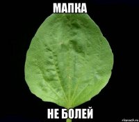 мапка не болей
