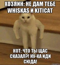 хозяин: не дам тебе whiskas и kiticat кот: что ты щас сказал?! ну-ка иди сюда!