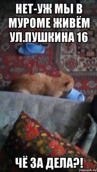 нет-уж мы в муроме живём ул.пушкина 16 чё за дела?!