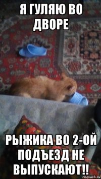 я гуляю во дворе рыжика во 2-ой подъезд не выпускают!!
