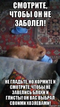 смотрите, чтобы он не заболел! не гладьте, но кормите и смотрите, чтобы не завелись блохи и глисты! он вас выбрал своими хозяевами!