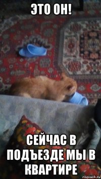 это он! сейчас в подъезде мы в квартире