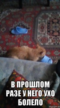  в прошлом разе у него ухо болело