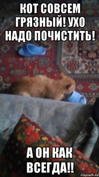 кот совсем грязный! ухо надо почистить! а он как всегда!!