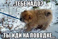тебе надо? ты иди на поводке...
