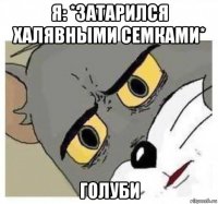 я: *затарился халявными семками* голуби