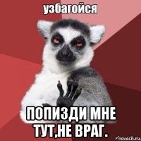  попизди мне тут,не враг.