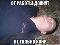 от работы дохнут не только кони