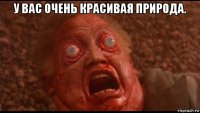 у вас очень красивая природа. 