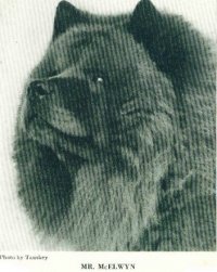 Создать мем 1926 Mr McElwyn Chow-Chow