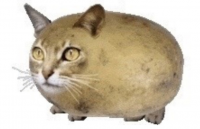 Создать мем Чилипиздрик