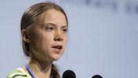 Создать мем Greta