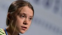 Создать мем Greta