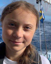 Создать мем Greta
