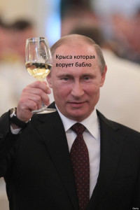 Создать мем Крыса