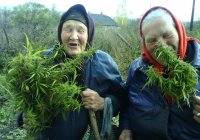 Создать мем Петровна