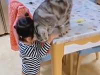 Создать мем Ребенок и кот