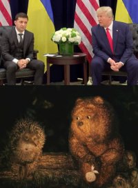 Создать мем Трамп и зеленский