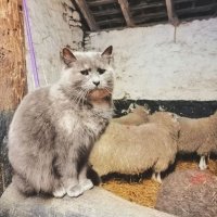 Создать мем Я и социум