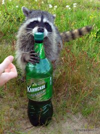 Создать мем Я люблю пиво