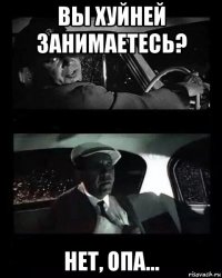 вы хуйней занимаетесь? нет, опа...