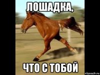 лошадка, что с тобой