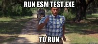 run esm test.exe to run