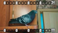 смешная картинка, смешной комикс, прикол