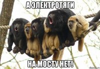 а электротяги на мосту нет!