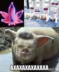  axaxaxaxaxaxa