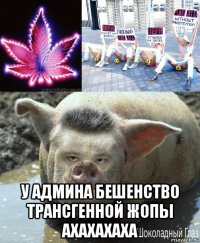  у админа бешенство трансгенной жопы ахахахаха