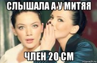 слышала а у митяя член 20 см