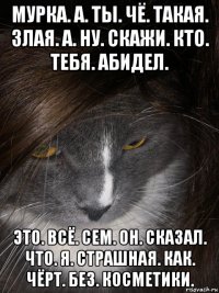 мурка. а. ты. чё. такая. злая. а. ну. скажи. кто. тебя. абидел. это. всё. сем. он. сказал. что. я. страшная. как. чёрт. без. косметики.