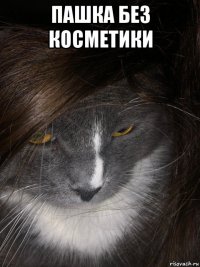 пашка без косметики 
