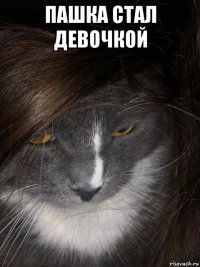 пашка стал девочкой 