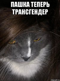 пашка теперь трансгендер 