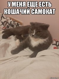 у меня еще есть кошачий самокат 