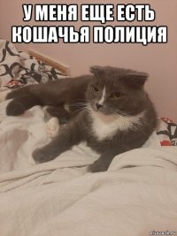 у меня еще есть кошачья полиция 