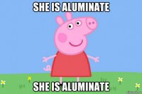 she is aluminate she is aluminate