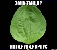 zouk танцор ноги,руки,корпус