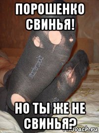 порошенко свинья! но ты же не свинья?