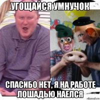 угощайся умнучок спасибо нет, я на работе лошадью наелся