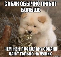 собак обычно любят больше чем жен, поскольку собаки лают только на чужих.