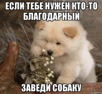 если тебе нужен кто-то благодарный заведи собаку