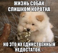 жизнь собак слишком коротка но это их единственный недостаток. ­