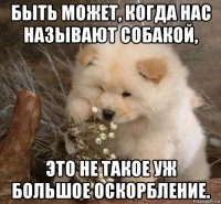 быть может, когда нас называют собакой, это не такое уж большое оскорбление.