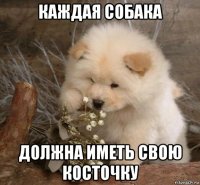 каждая собака должна иметь свою косточку