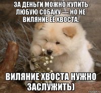 за деньги можно купить любую собаку — но не виляние её хвоста. виляние хвоста нужно заслужить)